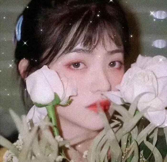 疯狂的麦咭第八季